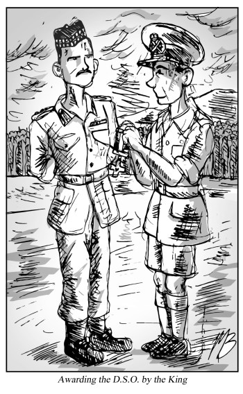 Johnston cartoon DSO